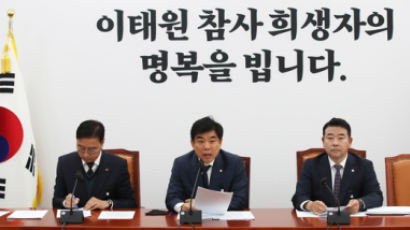 민주당 "권력기관 예산 대폭 줄여 민생·안전 예산 늘릴 것"