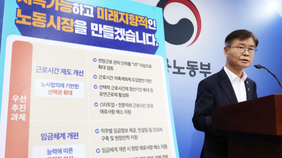 노조 반발 심한 임금체계 전면 개편 대신 부서·직무별 원 포인트 개혁 가능하게