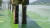 지난 7월 경남 창원지역 수돗물을 취수하는 낙동강 본포취수장 앞에 짙은 녹조가 발생했고, 상수원수의 녹조 농도를 낮추기 위해 물을 뿌려 녹조를 밀어내고 있다. 낙동강 네트워크