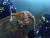 홍도 바닷속에서 발견된 폐어구에 문어가 갇혀 있다. 국립공원을지키는시민의모임