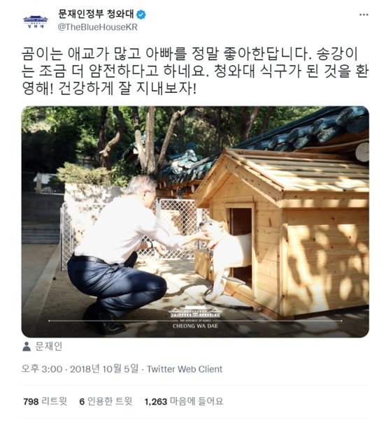 문재인 전 대통령이 김정은 국무위원장으로부터 풍산개 두 마리를 선물받은 직후 청와대가 올린 사진. 스스로를 '아빠'로 칭하며 곰이와 송강이를 '가족'으로 부르고 있다. 트위터 캡처