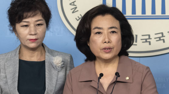 시의원 공천 대가 '금품수수 혐의' 박순자 전 의원 구속