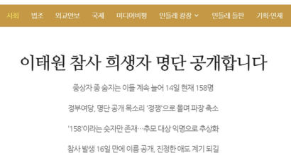 정부 "세월호땐 신원확인 오래 걸려 명단 공개…이태원과 다르다"