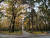 알마티 도심 한복판에 자리한 판필로프 공원. 울창한 숲이 우거져 있다. 