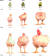 50년간 이뤄진 닭의 품종 개량으로 말라깽이 닭은 엄청난 덩치를 갖게 됐다. 생후 56일 된 닭이 1957년엔 905g이었지만, 2005년엔 4202g으로 성장했다. 50㎏짜리 사람이 개량을 통해 232㎏이 된 셈이다. 사진 Zuidhof et al., Poultry Science, 2014