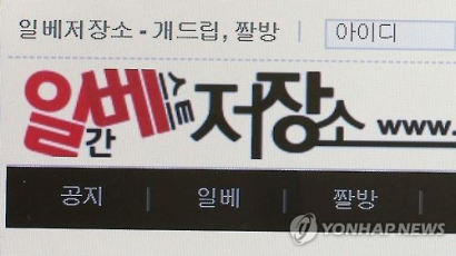 이태원 참사 희생자 비하 글 '일베'에 올린 20대男 입건