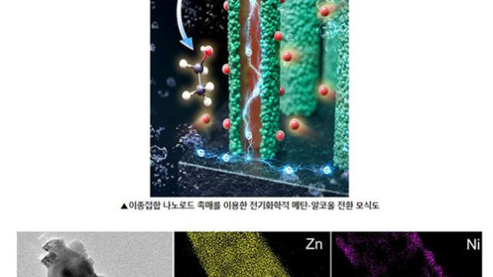 서강대 연구팀, ‘메탄→알코올’ 전환 촉매기술 개발