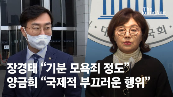 "장경태 언급 '김건희 조명'…캄보디아 소년 집 전등이었다"