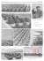 지난 1981년 9월 11만 병력을 동원해 진행한 덩샤오핑의 화북대연습을 보도한 인민일보 지면. 훈련이 종료된지 9일이 지난 후 보도했다. [인민일보DB 캡처]