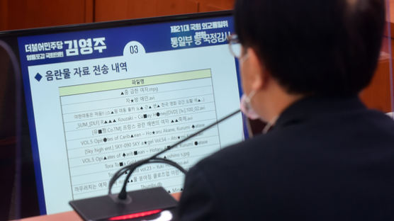 업무PC에 음란물 저장한 민주평통 직원…法 "감봉 3개월 타당"