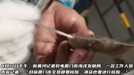 생선 주둥이에 면봉 푹…"모기도 검사해라" 조롱받은 中영상