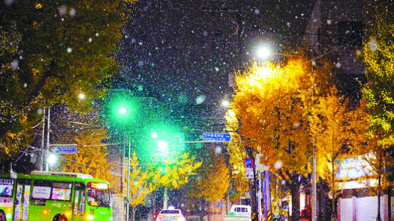 서울·인천에 올겨울 '첫눈' 내렸다…"눈 쌓이진 않을 듯"