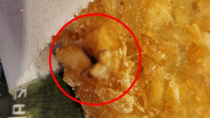 맥도날드 또 이물질…기생충 이어 이번엔 '해시브라운 모기'