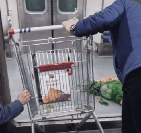 지난달 30일 서울 지하철 7호선 노원역 하행선에서 한 노인이 쇼핑카트를 끌고 열차를 타려다 출입문 사이 공간에 카트 앞바퀴가 끼이는 사고가 발생했다. 사진 인스타그램 캡처