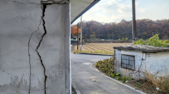 10월 괴산 지진으로 '새 단층' 움직였다…"규모5 지진도 가능"