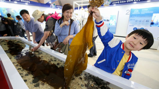 NASA도 깜짝 놀랐다…완도가 한해 1조원 벌어들인 비결 [영상]