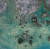 전남 완도군 노화도 주변 해조류 양식장을 촬영한 인공위성 사진. 사진 미 항공우주국(NASA)