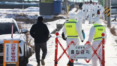 조류인플루엔자 확산에 달걀값 불안…연말 장바구니물가 부담