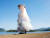  합동참모본부는 북한이 18일 평안북도 철산군 동창리 일대에서 중거리탄도미사일(MRBM) 2발을 동해상으로 쐈다고 밝혔다. 사진은 북한이 지난 2017년 5월 21일 시험발사에 성공했다며 이튿날 공개한 지상 발사 잠수함발사탄도미사일(SLBM) ‘북극성-2형’의 발사 모습. 연합뉴스
