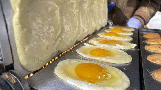 조류인플루엔자 확산…달걀값 또다시 들썩