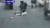 지난 10일 서울 강북구 번동의 한 주택가 골목에서 목줄을 착용하지 않은 삽살개가 산책하던 50대 여성과 반려견을 공격했다. 사진 JTBC 캡처