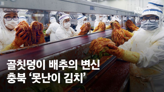 “중국산 이기자” 남는 배추로 만든 충북 ‘의병김치’ 완판