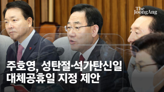 與 "성탄절·석가탄신일 대체공휴일 제안…정부도 긍정적"