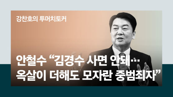 안철수 "김경수 사면 안돼…옥살이 더해도 모자란 중범죄자" 