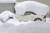 지난 19일 일본 니가타현 나가오카에서 자동차가 눈에 파묻혀 있다. AP=연합뉴스 