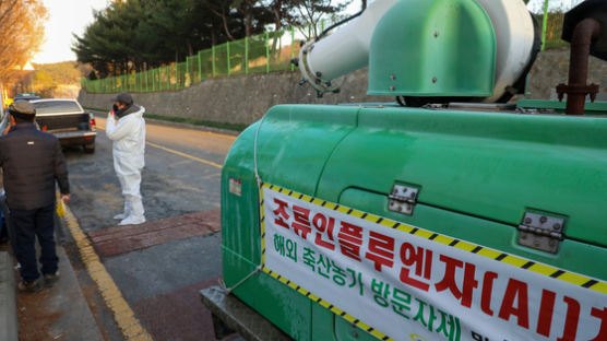 성주 산란계 농장서 닭 100마리 폐사…고병원성 AI 검출됐다