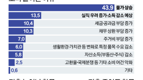 “보복소비도 이젠 시들”…고금리·고물가에 소비도 얼어붙는다