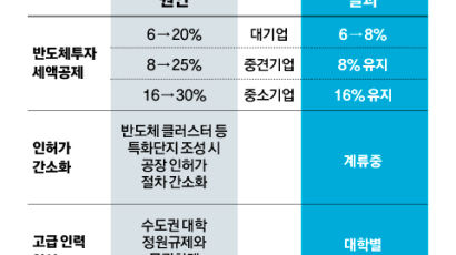 반쪽된 ‘K칩스법’…업계 “반도체 빙하기 우려”