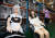 지난해 2월24일 서울에 위치한 성인용 여성 전신인형 '리얼돌' 수입업체 물류창고에서 관계자가 상품을 정리하고 있다. 뉴스1