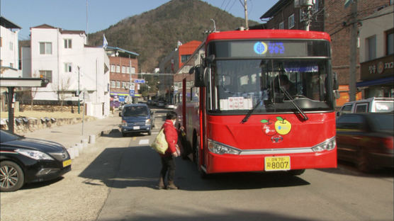 놀러간 서울시민도 공짜…경북 청송군 버스 전면 무료