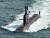 국내 독자 기술로 설계, 건조된 해군의 3000t급 잠수한인 도산안창호함. 해군.