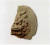 백두산 자락의 옌볜 조선족자치주 바오마청(寶馬城) 유적에서 발굴된 기와 조각. [사진 바이두]