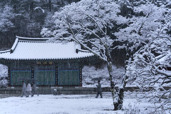 인제 백담사는 올겨울 휴식과 체험을 결합한 '숲 명상' 템플스테이를 운영한다. 사진 한국불교문화사업단