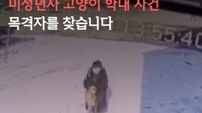 “고양이 바닥에 내던지고 밟은 미성년자…목격자 찾는다”