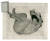 키키 스미스, 자유낙하, 1994, 일본산 종이에 포토그라비어, 에칭, 사포질. [사진 서울시립미술관]