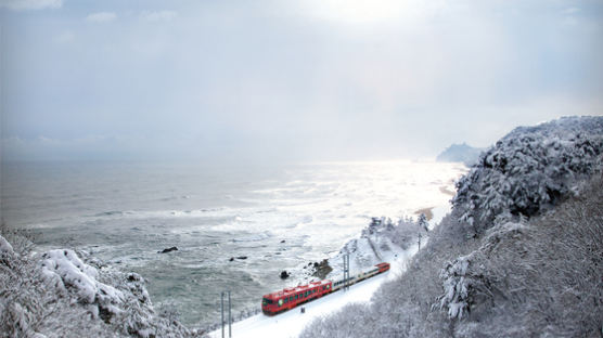 코레일관광개발, 동해안 겨울 바다열차 운행