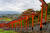 후쿠오카현 우키하 이나리 신사. 91개의 도리이가 언덕을 따라 도열해 있다. 