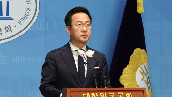 野 "'무인기 맞대응'은 정전협정 위반…군 미필 尹, 어설픈 지시" 