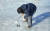 낚시 중에 얼음 구멍 안쪽에 살얼음이 끼자 틀채로 퍼내는 김하윤 학생기자.