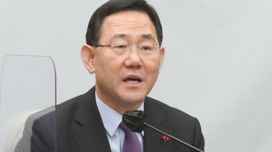 주호영 "이재명 개인 문제에 왜 민주당 총출동해 위세 부리나"