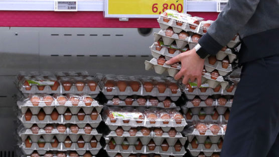 스페인산 계란 15일 공급…설 대비 비축계란 1500만개 푼다