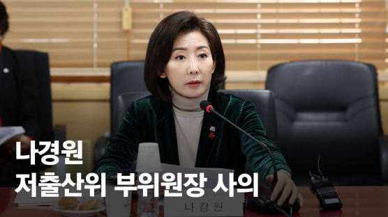 [단독]나경원, 저출산위 부위원장 사의...정치권 "남은건 출마뿐"
