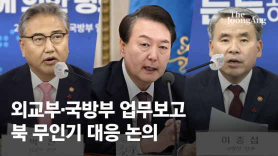박진 "선의 의존한 대북정책 실패"…尹 "北 다방면 분석해 대응하라"
