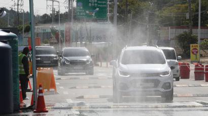 철원 양돈농장서 ASF 발생…3000마리 살처분 예정