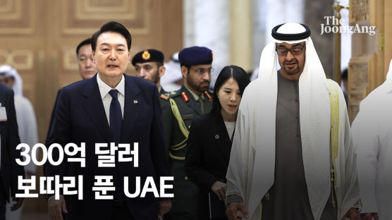 UAE 대통령 "한국의 약속 이행 기적 같아. 300억달러 투자하겠다"