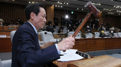 이태원 국조특위 "이상민 위증" 결과보고서…野단독으로 채택